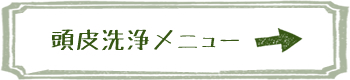 頭皮洗浄メニュー